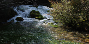 rio cuervo